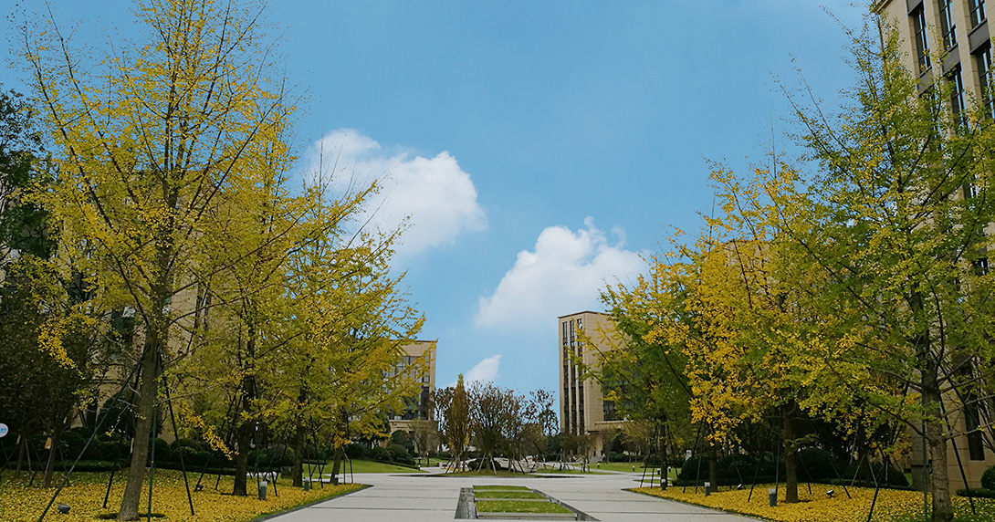 電子科大·國家大學科技園